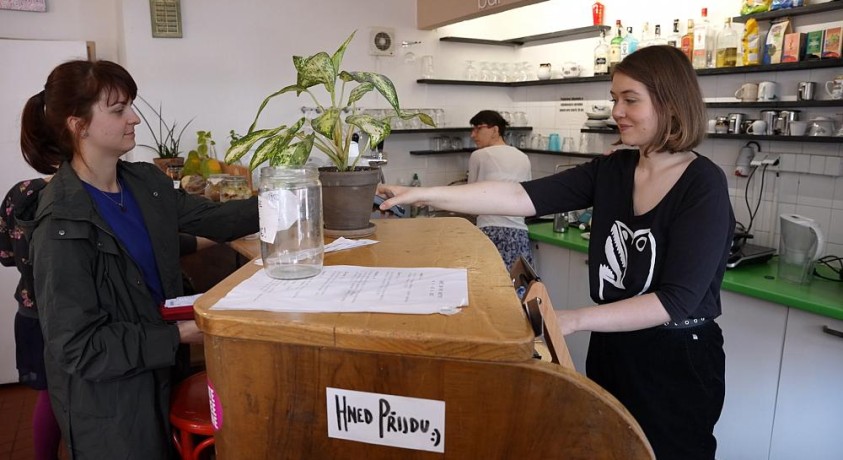 რამდენად შესაძლებელია სოციალური პროგრამით ახალგაზრდობაში უმუშევრობის პრობლემა გადაიჭრას?