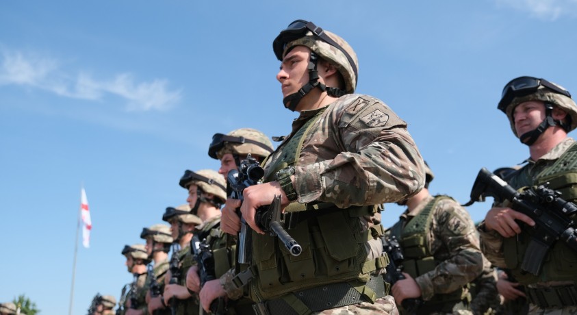 საქართველოს თავდაცვის ძალები 31 წლისაა