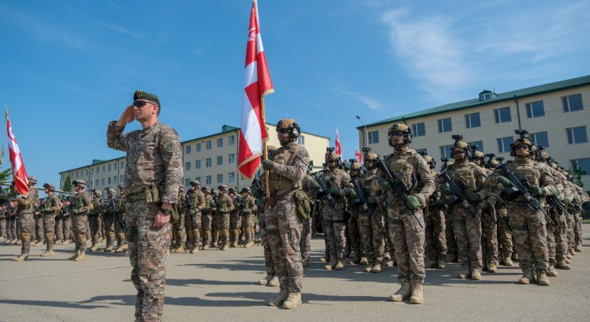 საქართველოს სამხედრო ბაზებზე ღია კარის დღეები გაიმართა