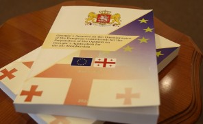 30 არასამთავრობო ორგანიზაცია ევროკავშირის კითხვარის პასუხების გასაჯაროებას ითხოვს