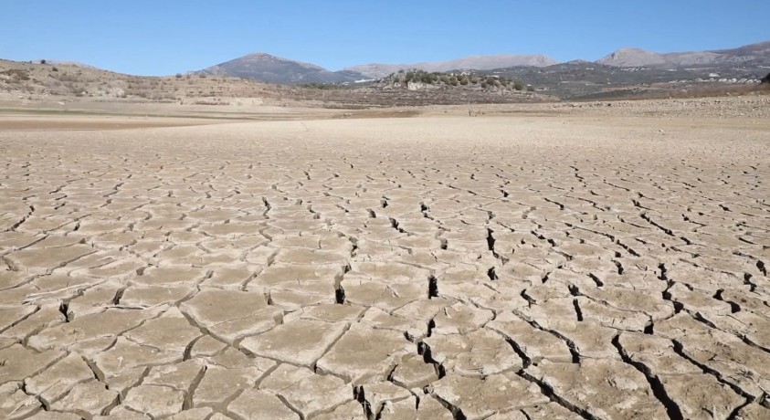 ბელგიაში გვალვა წლევანდელ მოსავალს საფრთხეს უქმნის