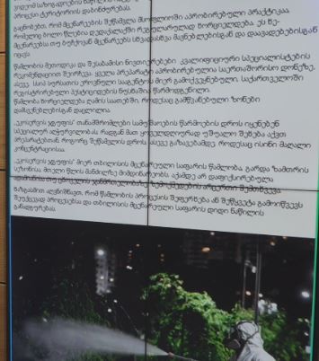 თბილისის მერია: სკვერების შესაწამლად გამოყენებული ნივთიერებები გამოცდილი და უსაფრთხოა