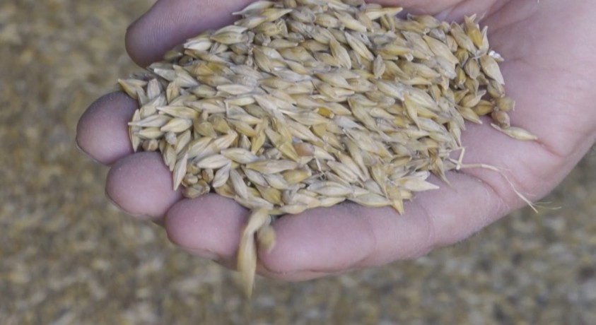 ომმა მსოფლიო სასურსათო მომარაგებას საფრთხე შეუქმნა