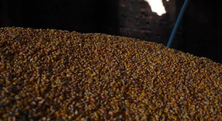 უკრაინული მარცვლეულის ექსპორტზე შეთანხმება მიღწეულია