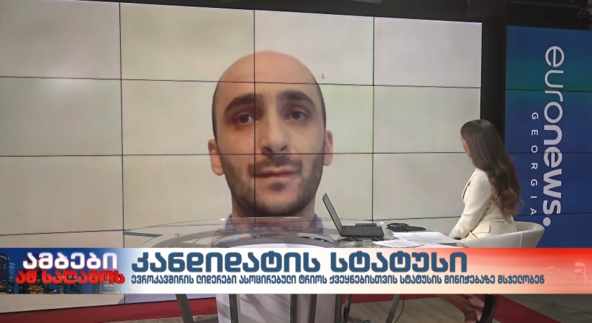 კანდიდატის სტატუსი – საქართველოს პოლიტიკის ინსტიტუტის უფროს ანალიტიკოსი, ბიძინა ლებანიძე