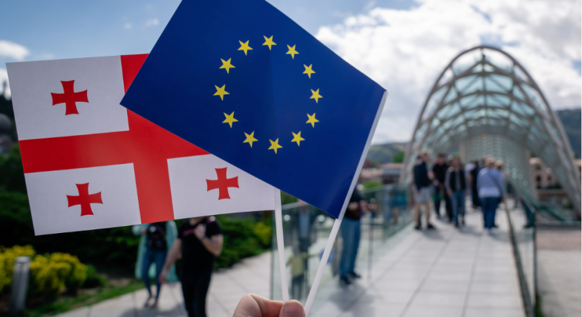 ევროპული საბჭოს პასუხი და საქართველოს პრემიერ-მინისტრის განცხადებების შეფასება