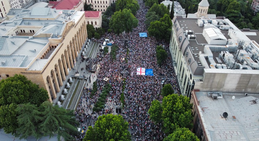 „შინ ევროპისკენ” აქცია პარლამენტის შენობასთან