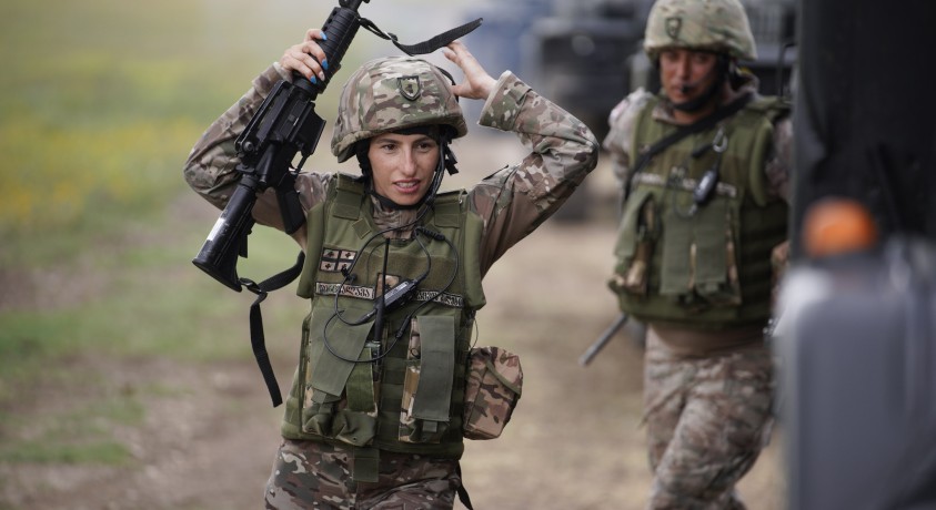 საქართველოს სამსახურში