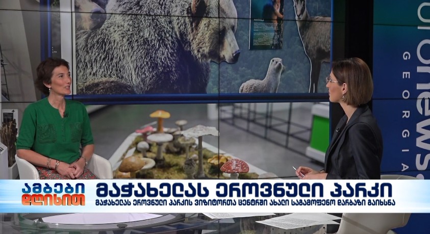 მაჭახელას ეროვნული პარკი