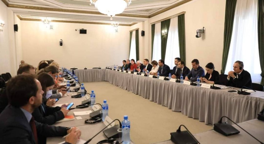 ევროპარლამენტარების ვიზიტი საქართველოში