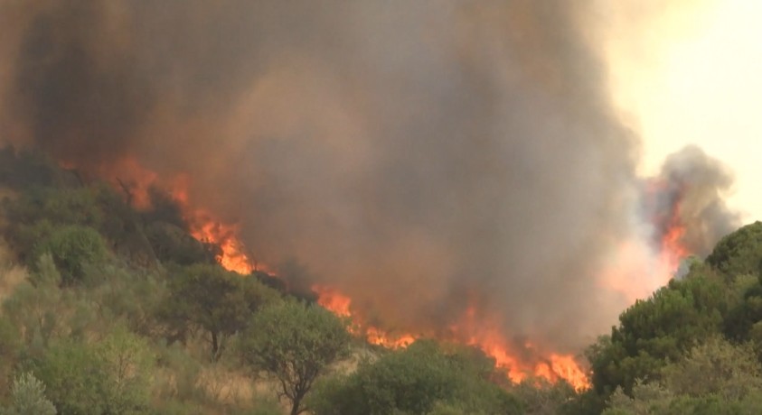 მეხანძრეები ევროპაში ტყის ხანძრებს ებრძვიან