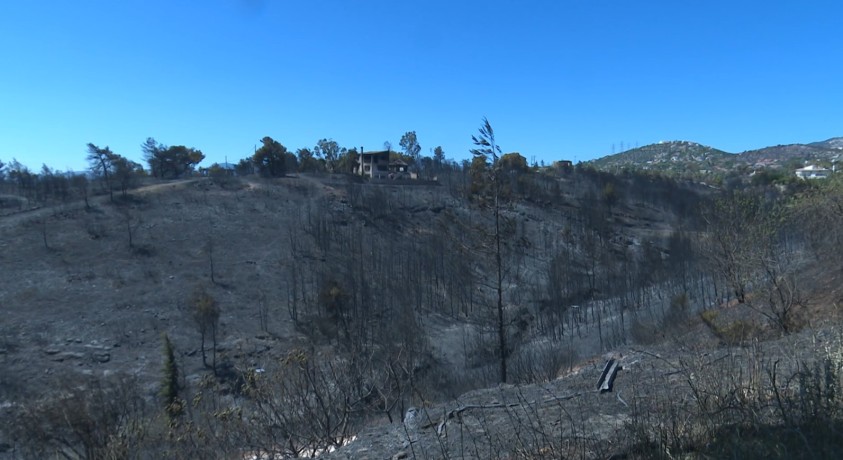 ტყის ხანძარმა ათენთან ახლოს 10 საცხოვრებელი სახლი გაანადგურა