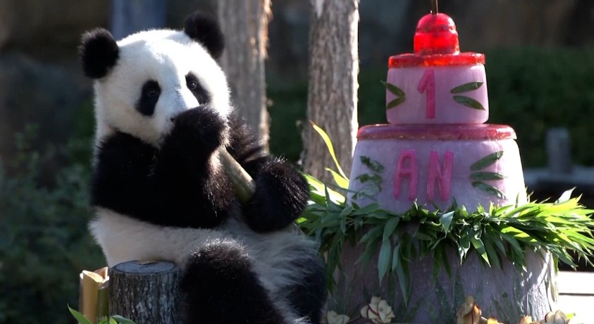 სენ ენიანი, საფრანგეთი