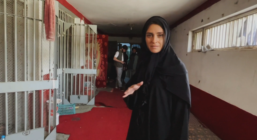 „ევრონიუსი” ავღანეთის კრიზისის გაშუქებისთვის EMMY AWARDS-ზე წარადგინეს