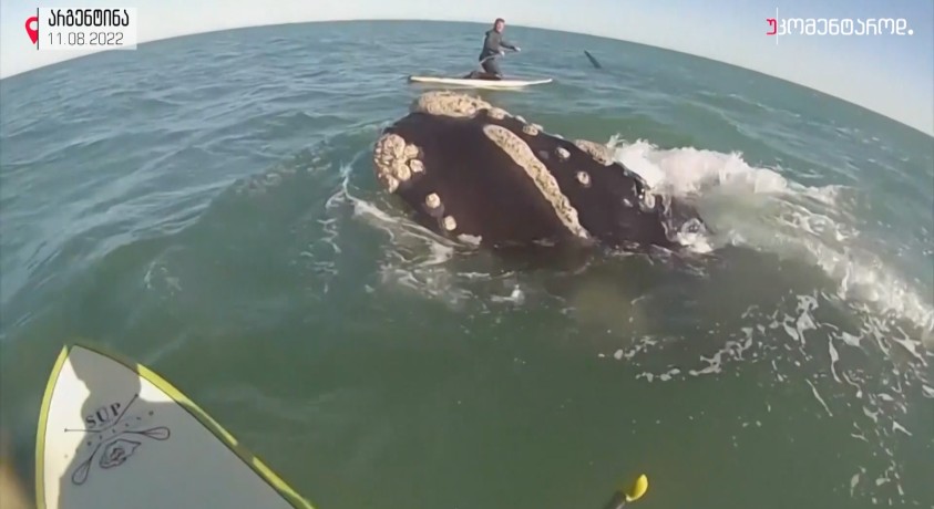 არგენტინა