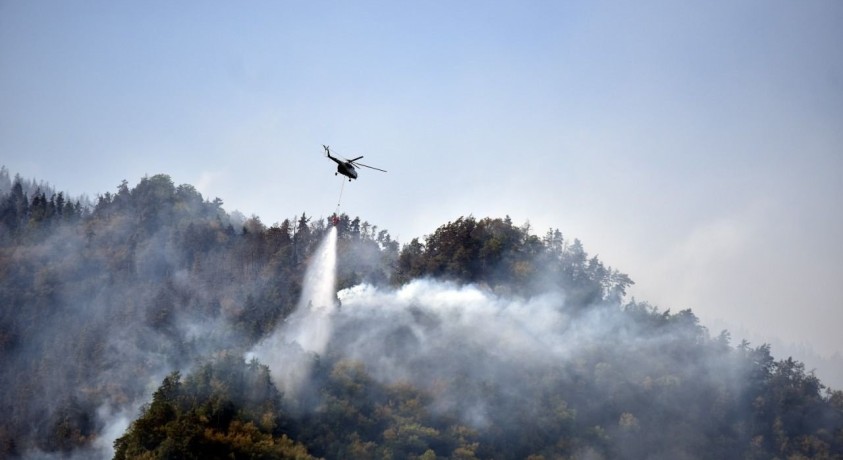 ბორჯომის ხეობაში გაჩენილმა ხანძარმა ახალციხის სოფლებამდე მიაღწია