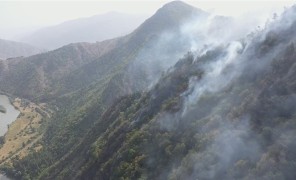 როგორ ვებრძოლოთ ტყის ხანძრებს კლიმატის კრიზისის პირობებში