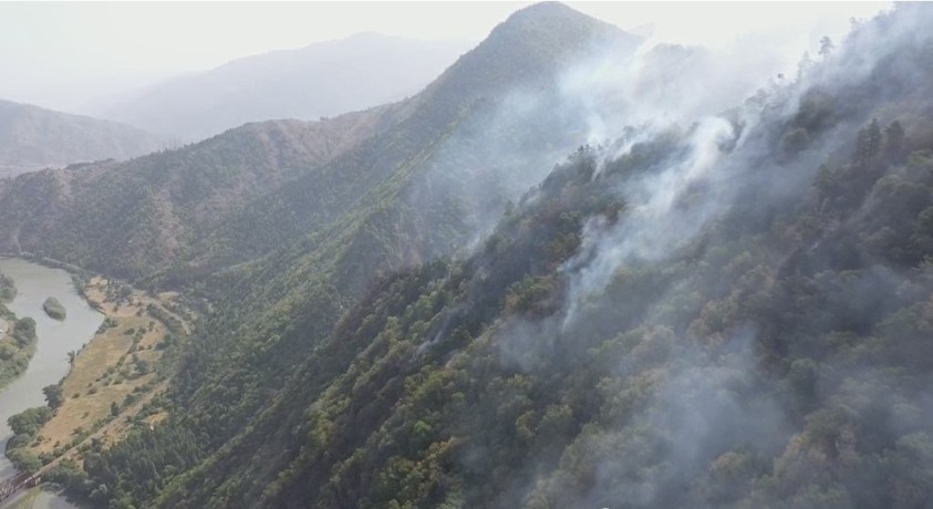 როგორ ვებრძოლოთ ტყის ხანძრებს კლიმატის კრიზისის პირობებში