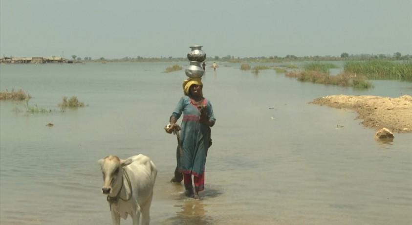 პაკისტანში წყალდიდობის შედეგად დაღუპულთა რიცხვმა 1200-ს გადააჭარბა