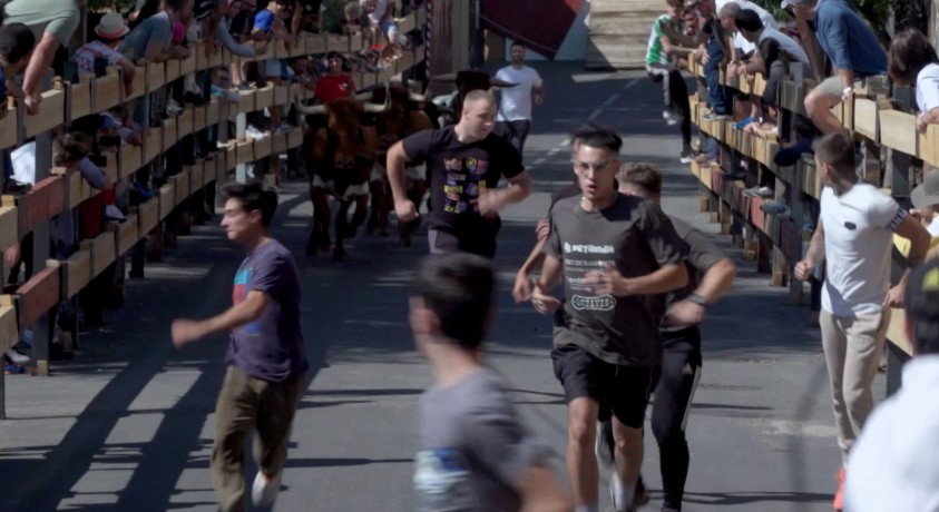 უნდა აიკრძალოს თუ არა ხარების ბრძოლა ესპანეთში