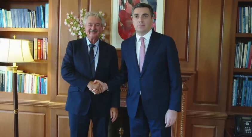 ილია დარჩიაშვილი პოლონეთის, ლუქსემბურგისა და სლოვაკიის საგარეო საქმეთა მინისტრებს შეხვდა