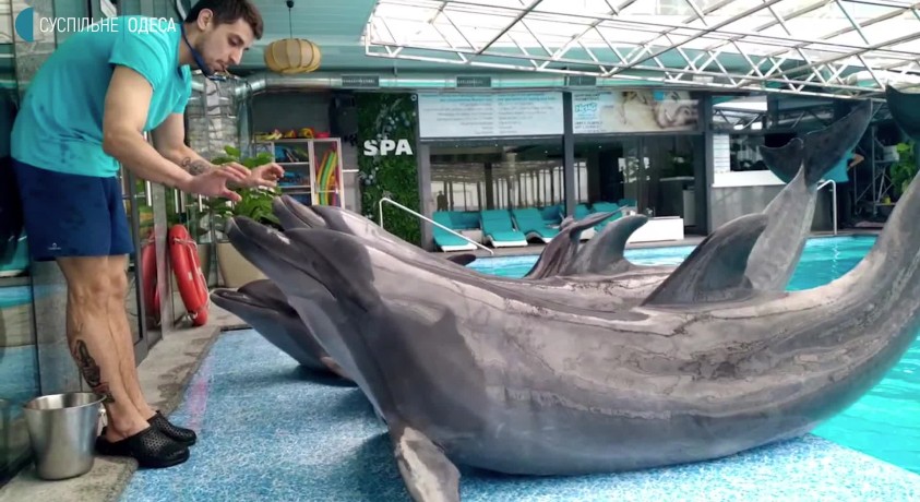 ხარკივის აკვარიუმის ბინადრების ბედი