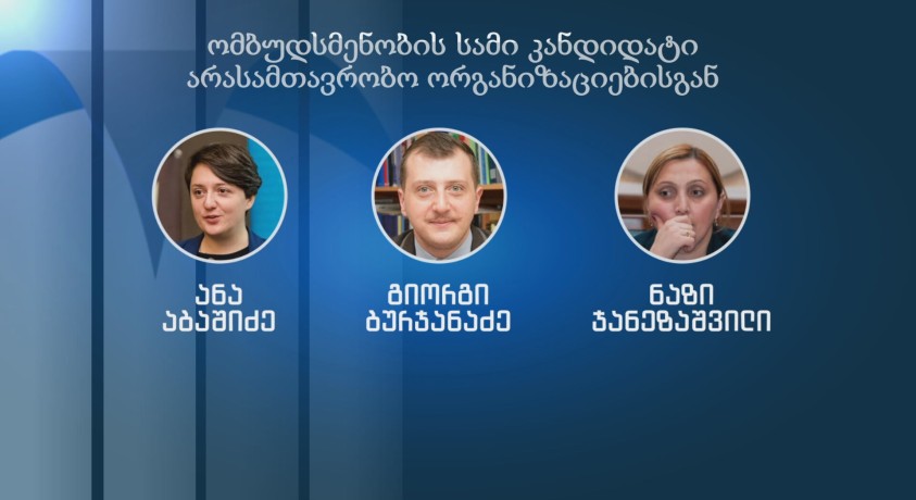 სახალხო დამცველის კანდიდატურის წარდგენის ვადა 29 სექტემბერს იწურება