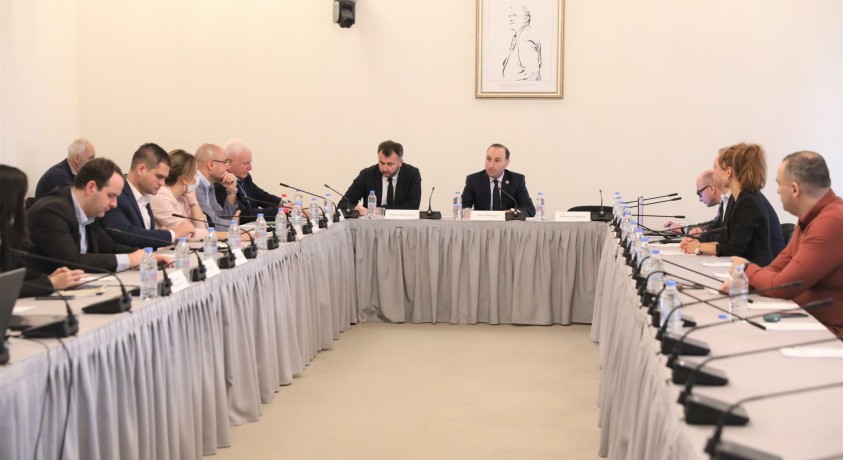 პარლამენტის იურიდიულ საკითხთა კომიტეტზე დეოლიგარქიზაციის შესახებ კანონზე იმსჯელეს