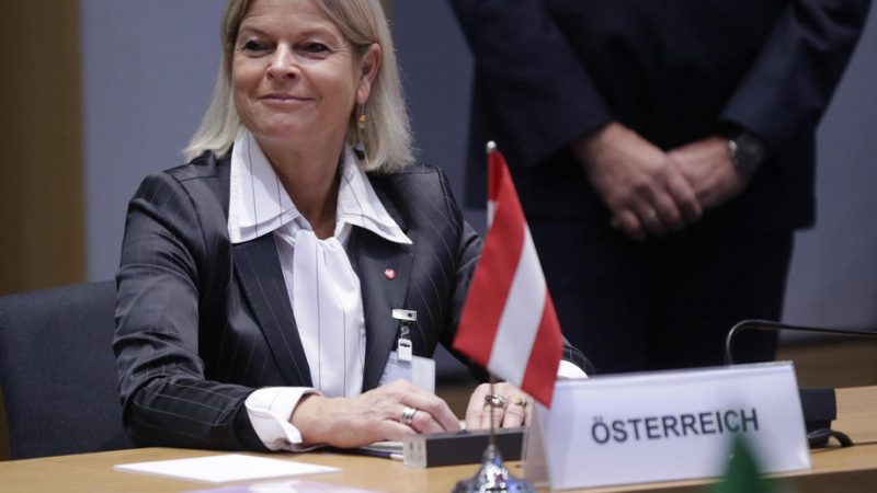 ავსტრია ცდილობს, მჭიდროდ ითანამშრომლოს ევროკავშირის სხვა ნეიტრალურ ქვეყნებთან