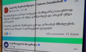 ტრაგედია ვაკის პარკში – რას წერენ სოციალურ ქსელში