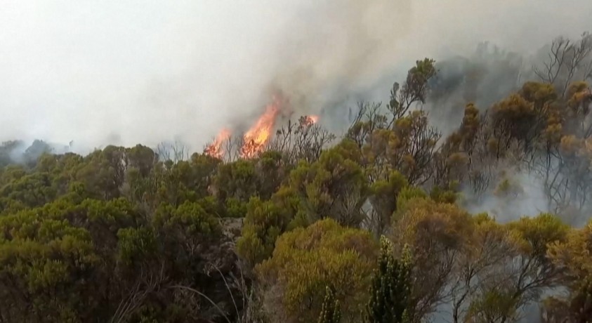 კილიმანჯაროს სამხრეთ ფერდობზე ტყე იწვის