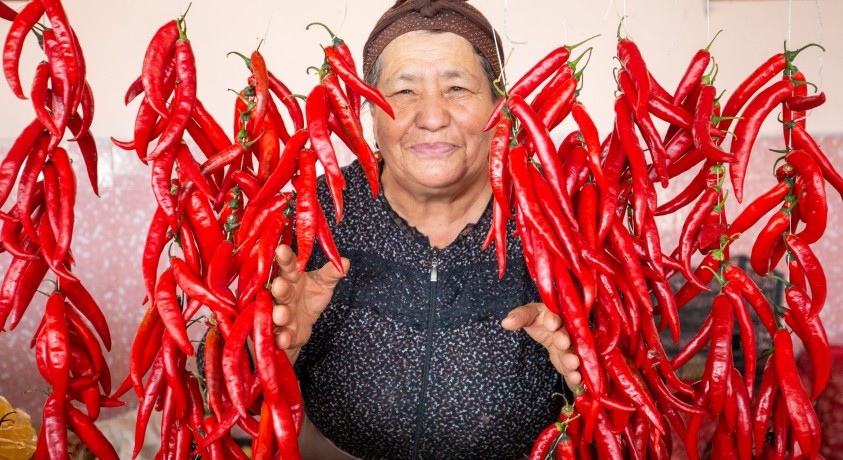 ენობრივი ბარიერი ეთნიკური უმცირესობების წარმომადგენელ ქალებში