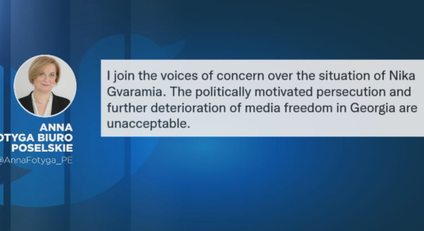 ანა ფოტიგა ნიკა გვარამიას საქმეზე სააპელაციო სასამართლოს გადაწყვეტილებას გამოეხმაურა