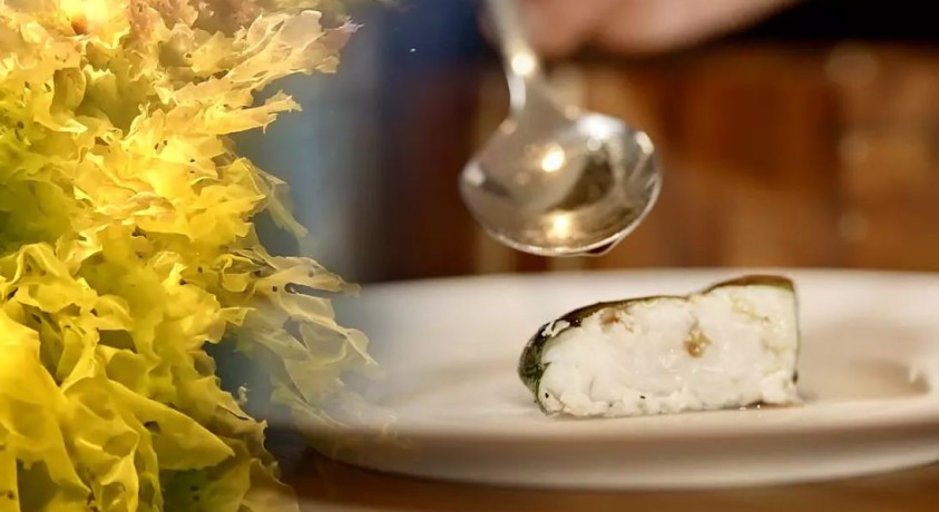 ლურჯი რევოლუცია: ზღვის წყალმცენარეების პლანტაციები ევროპის სანაპიროებზე