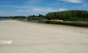 დუნაისპირეთს გვალვამ დიდი ზარალი მიაყენა