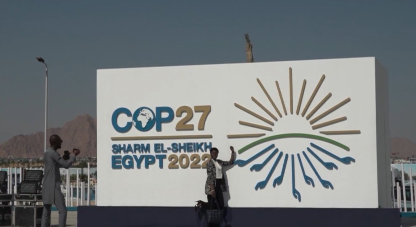 კლიმატის ცვლილების გამო, მსოფლიო ღრმა კრიზისში აღმოჩნდა