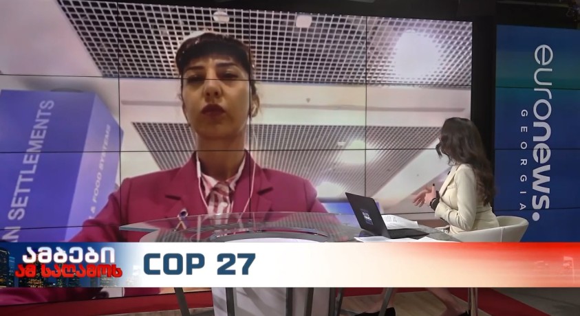 COP 27 – გარემოს დაცვის სამინისტროს კლიმატის ცვლილების სამმართველოს უფროსი, მაია ცხვარაძე