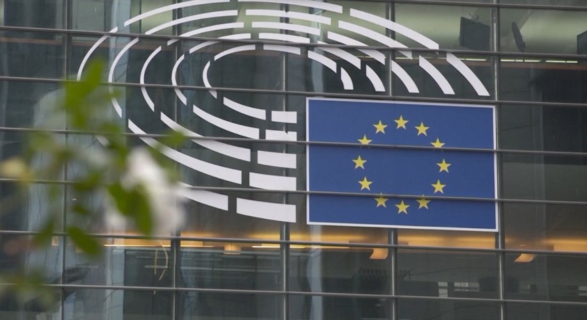 ევროპარლამენტის რეზოლუცია და პასუხები საქართველოდან