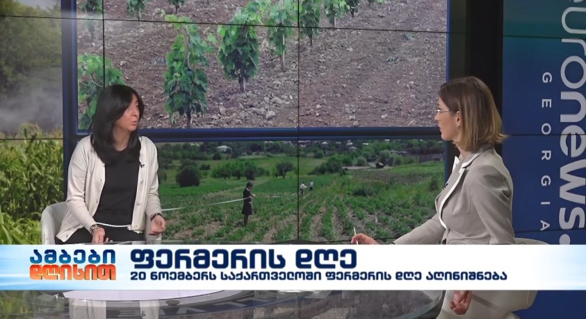 ფერმერის დღე – საქართველოს ფერმერთა ასოციაციის თავმჯდომარემ, ნინო ზამბახიძე