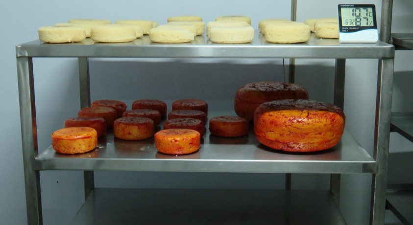 ქართველები უცხოურ ყველს ამზადებენ