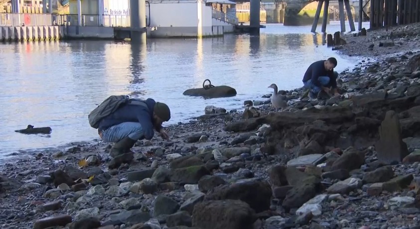 ტემზის ნაპირებზე ნივთების ძებნის ნებართვება აღარ გაიცემა