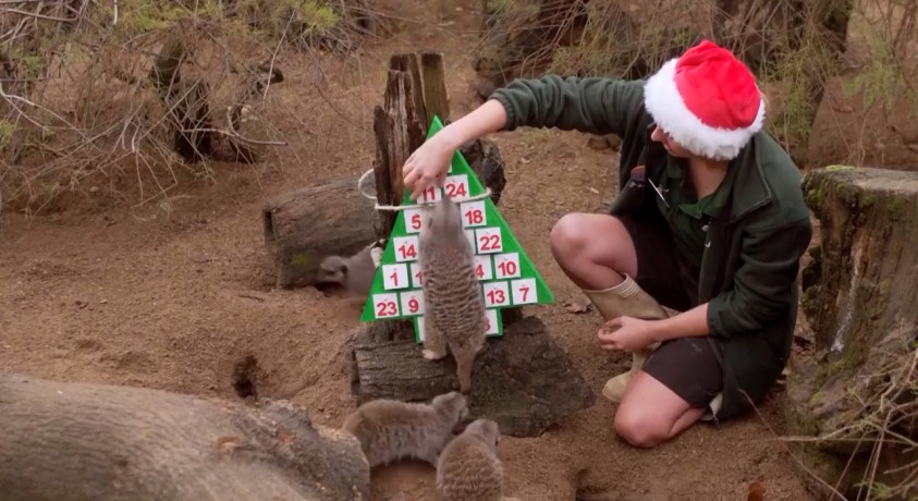 ლონდონი, გაერთიანებული სამეფო