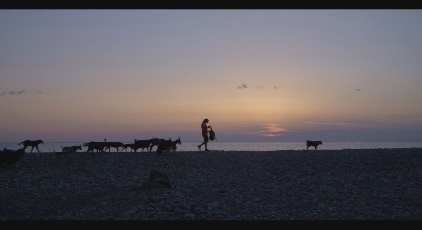 თბილისის კინოფესტივალზე ქართული დოკუმენტური ფილმების ჩვენება მიმდინარეობს