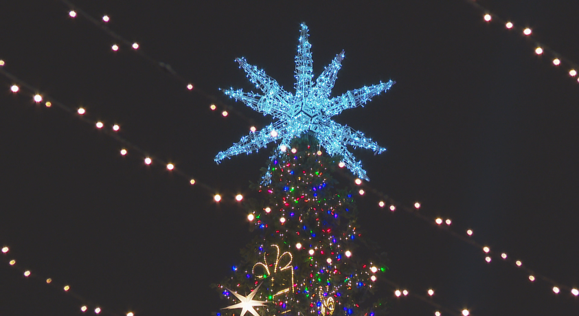 თბილისში ნაძვის ხე აანთეს, პარალელურად საპროტესტო აქცია გაიმართა