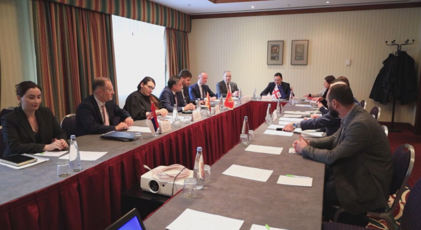 საქართველოსა და დასავლეთ ბალკანეთის ქვეყნებს შორის კონსულტაციები მიმდინარეობს