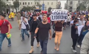 პერუში მასშტაბური საპროტესტო აქციები გრძელდება