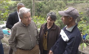 კლიმატის ცვლილებასთნ ადაპტაცია