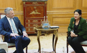 ავსტრიის კანცლერი საქართველოს პრეზიდენტს შეხვდა