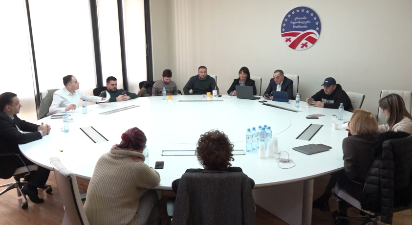 „ნაციონალური მოძრაობის“ ახალი თავმჯდომარე და ცვლილებები პარტიაში