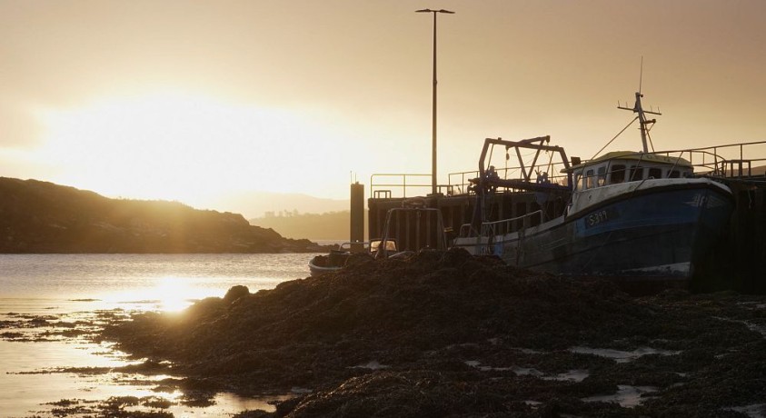ირლანდიის სათევზაო ინდუსტრია ნელ-ნელა კვდება